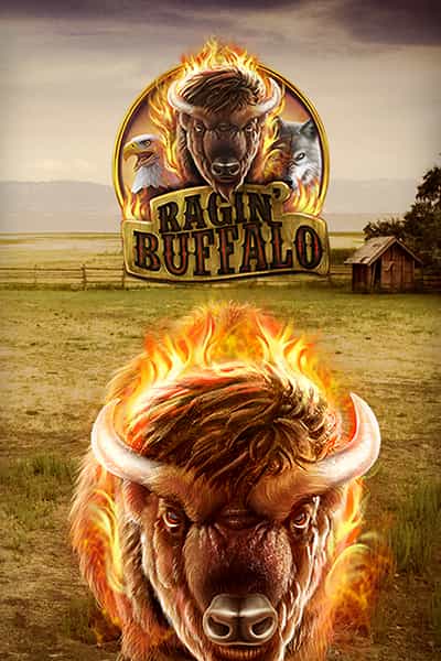 Ragin' Buffalo